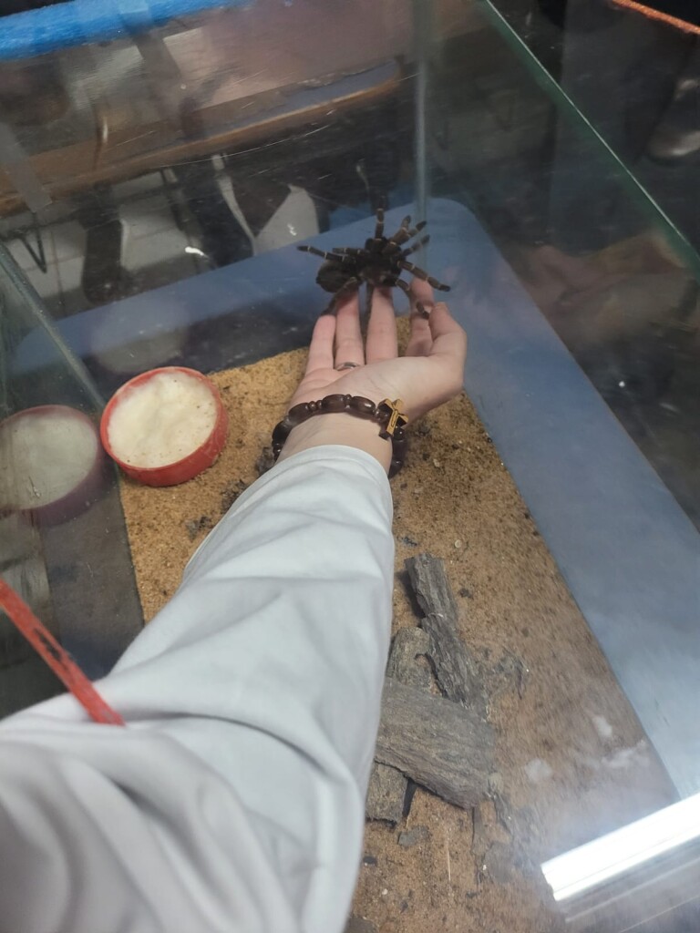 WhatsApp Image 2022-06-03 at 10.42.24 (1)