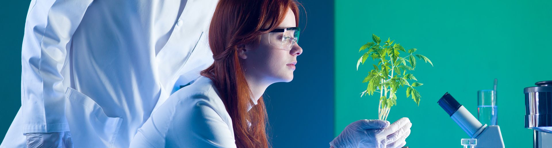 Engenharia Ambiental