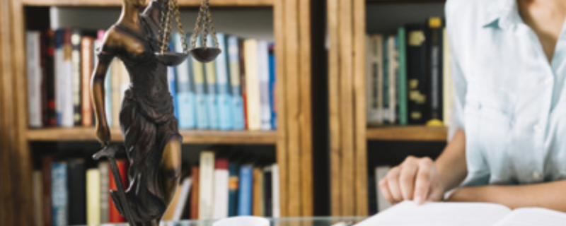 NÚCLEO DE PRÁTICA JURÍDICA DA FAP EM ANO DE PANDEMIA