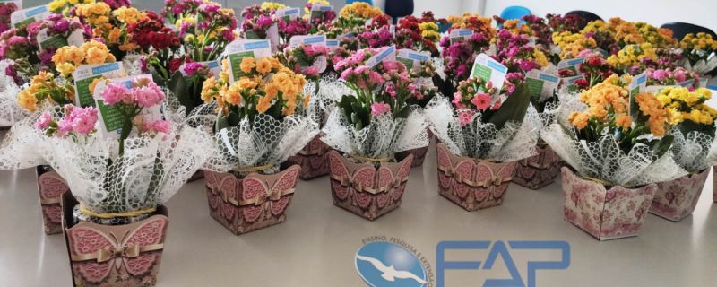 Homenagem dia dos professores