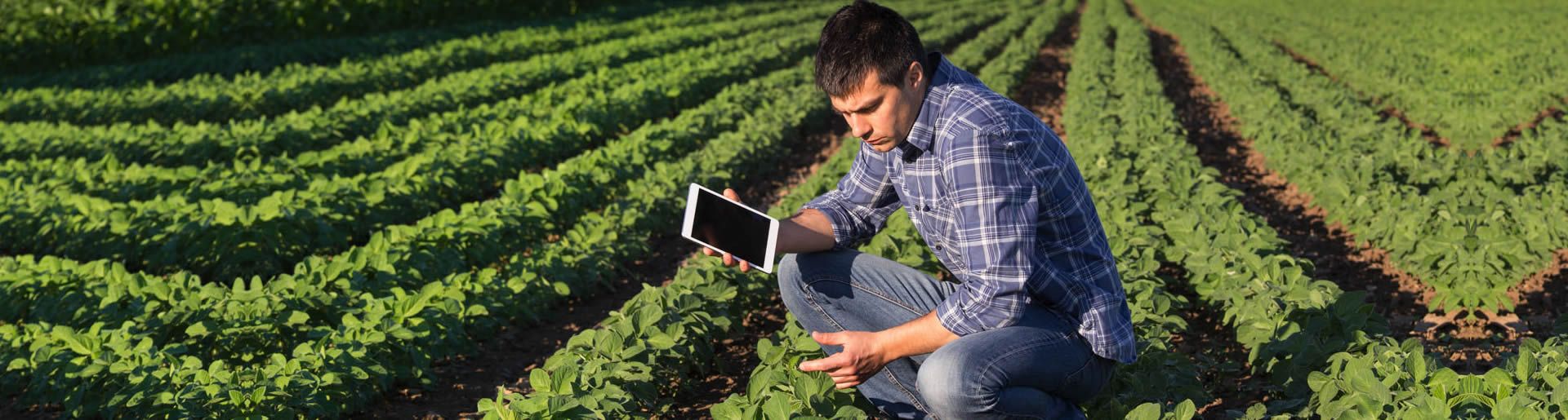Engenharia Agronômica